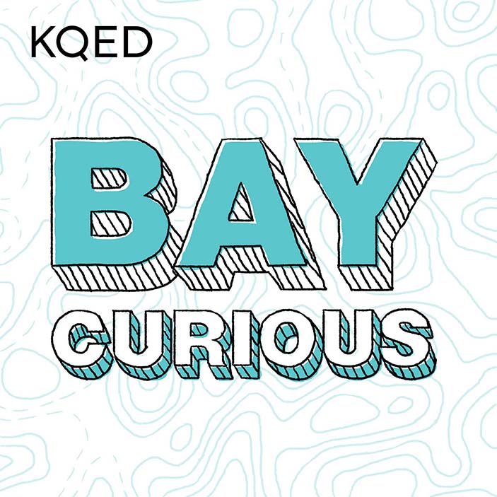 "极速赛车官网168 Bay Curious